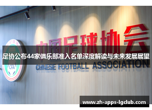 足协公布44家俱乐部准入名单深度解读与未来发展展望 足协公布44家俱乐部准入名单深度解读与未来发展展望